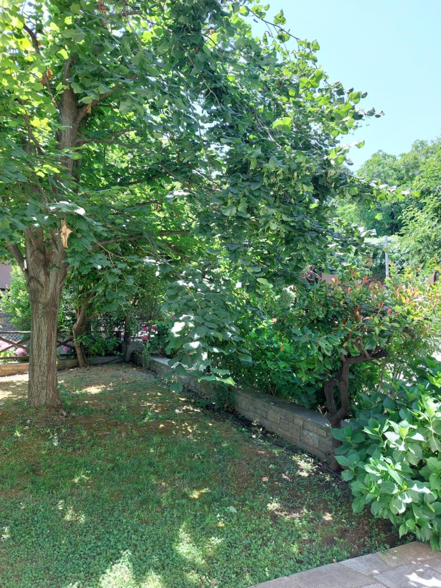 Villa θαλλώ Luxurious Tsagkarada