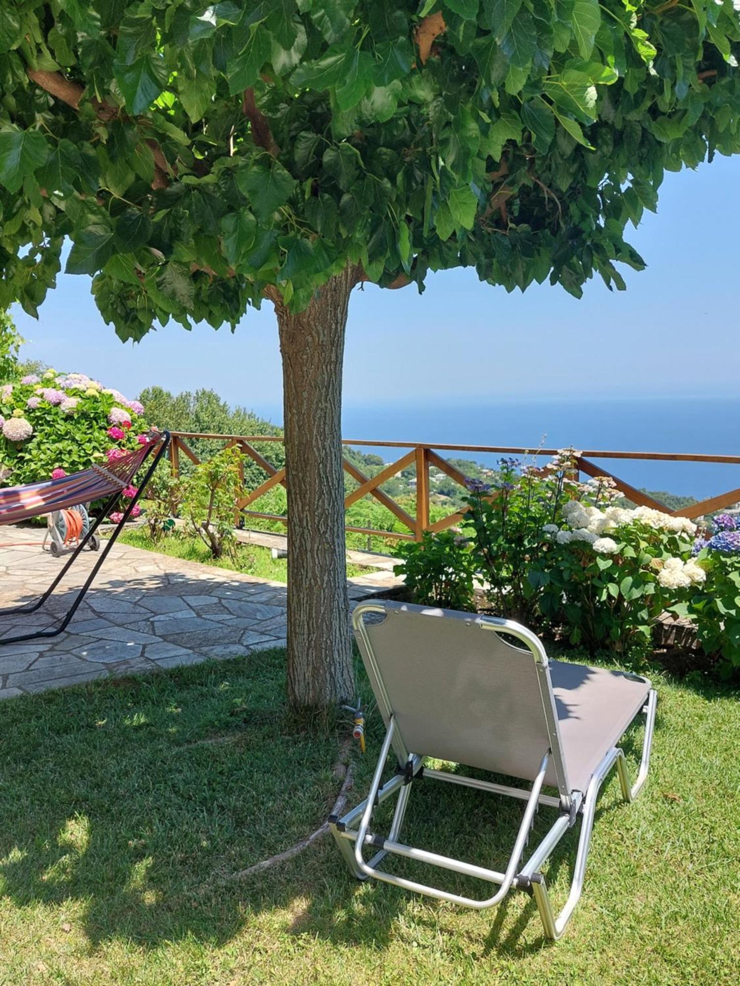 θαλλώ Luxurious Tsagkarada