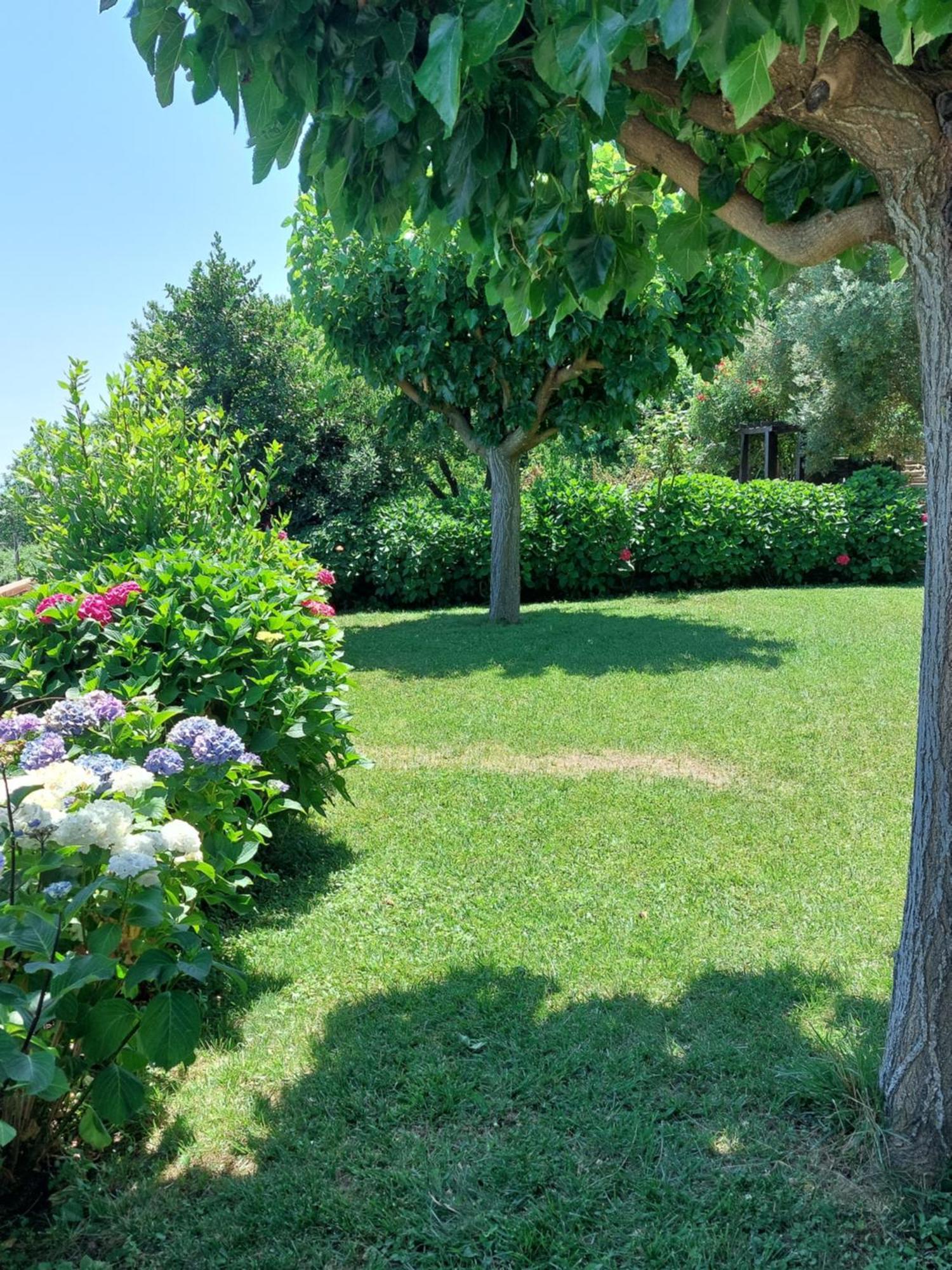 Villa θαλλώ Luxurious *