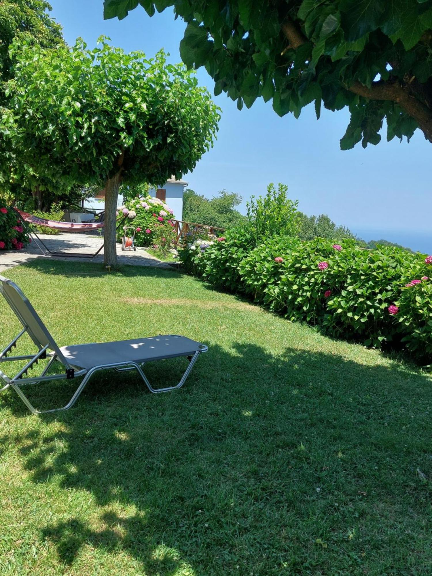 θαλλώ Luxurious Villa
