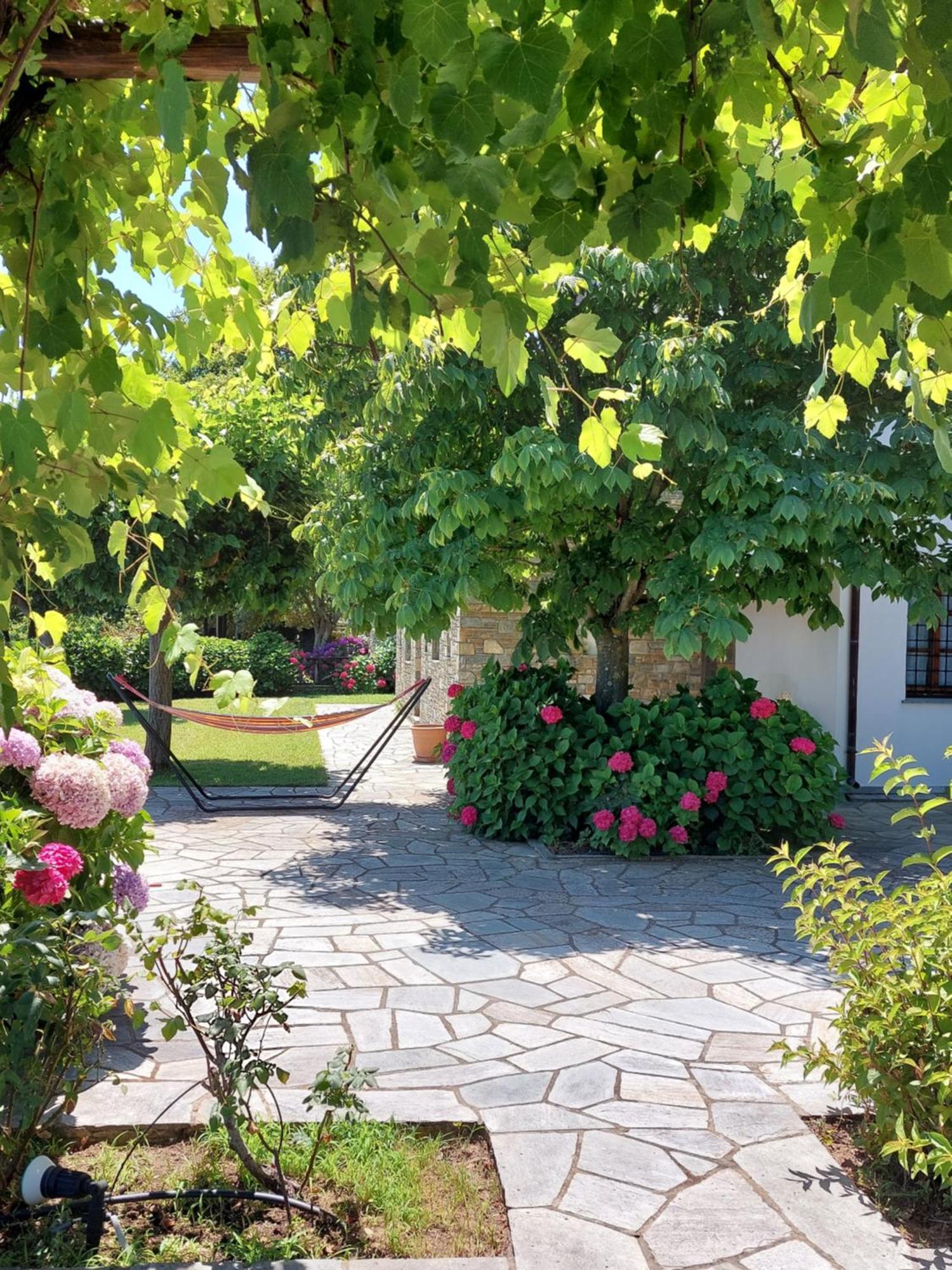Villa θαλλώ Luxurious *