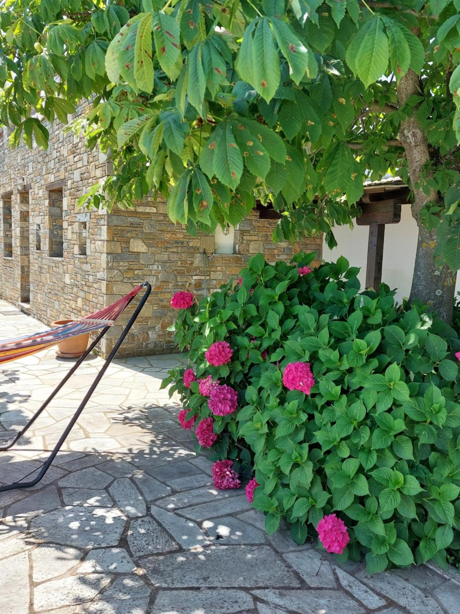 Villa θαλλώ Luxurious