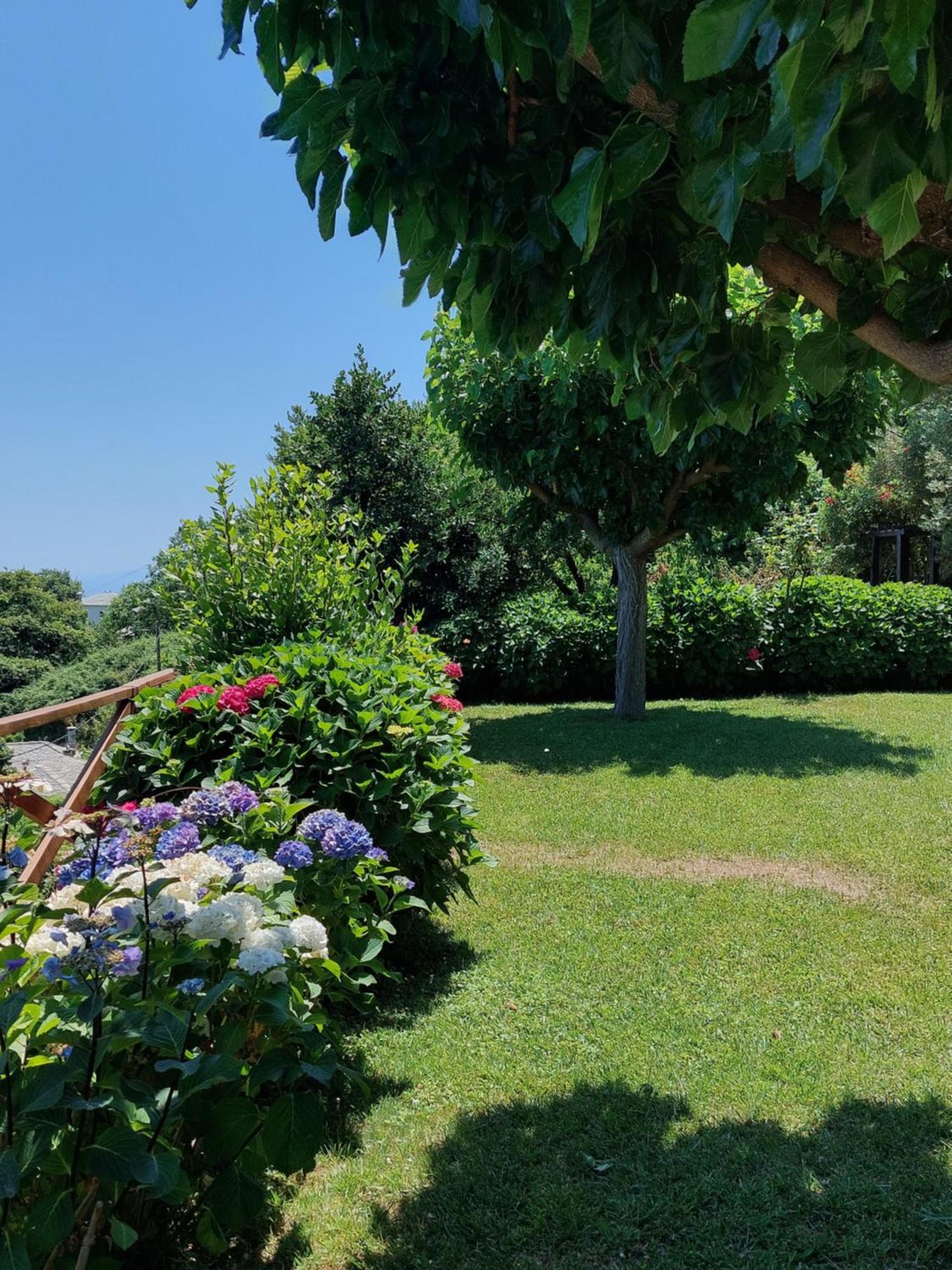 Villa θαλλώ Luxurious *