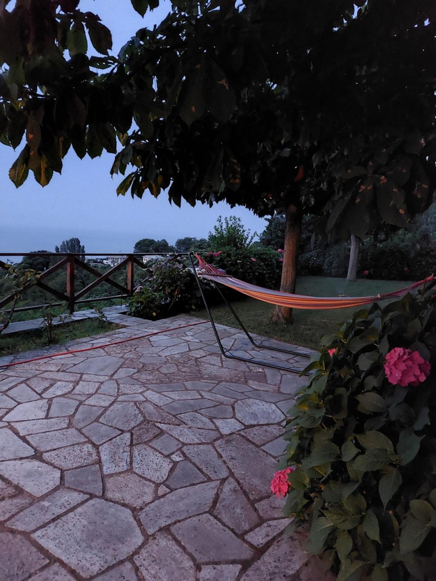 θαλλώ Luxurious Tsagkarada