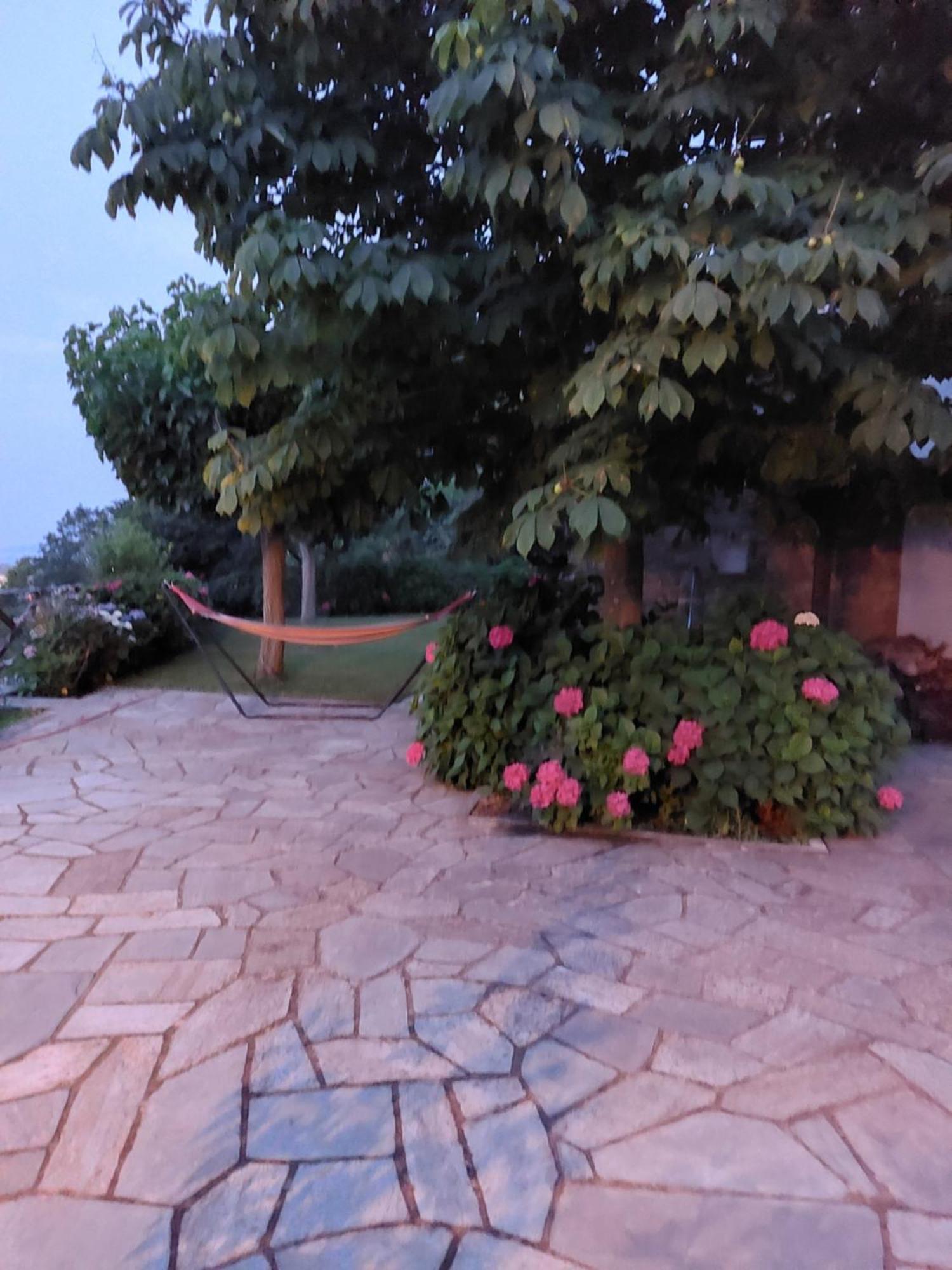 Villa θαλλώ Luxurious Tsagkarada
